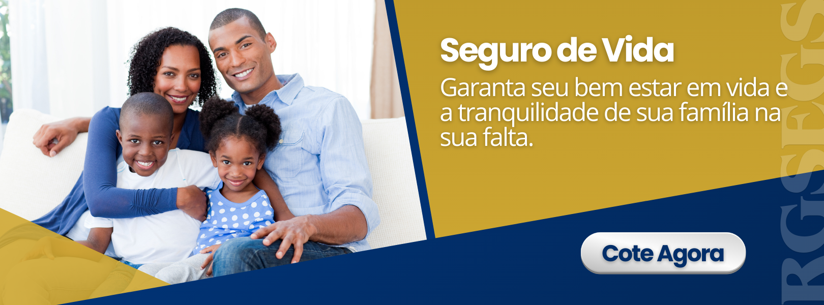 Seguro de Vida.png
